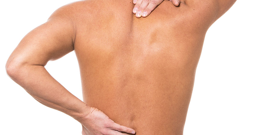 Cómo-está-formada-la-columna-vertebral