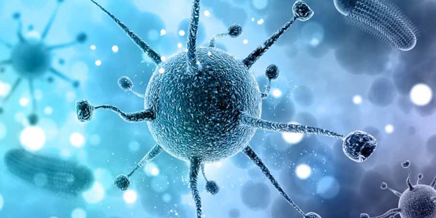 Prevención de las infecciones vertebrales