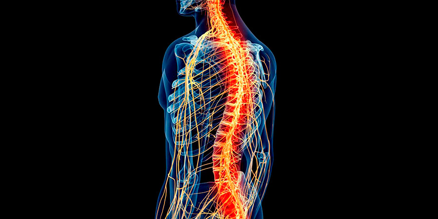 Síntomas-de-que-existe-un-tumor-en-la-médula-espinal